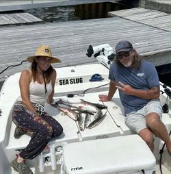 Fishing boat with caught fish on deck at Old Town FL marina