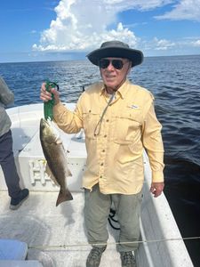 Redfish caught during fishing trip in Old Town FL waters