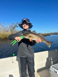 Redfish caught while fishing in FL