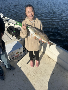 Nice redfish using jigging techniques in Old Town FL waters!
