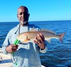 Redfish caught while fishing in FL