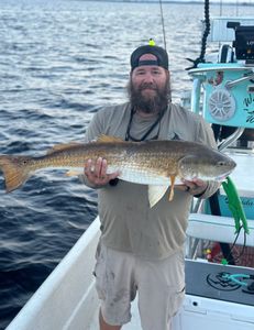 Redfish caught in Old Town by angler