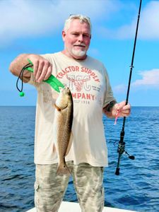Redfish caught while fishing in FL
