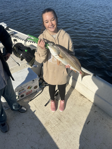 Nice redfish caught jigging with heavy tackle in Old Town FL!