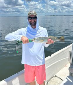 Speckled trout catch on fishing boat in Old Town FL waters
