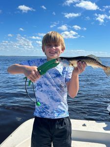 Spotted weakfish caught in Old Town