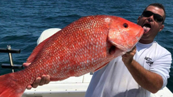 Angler with a 28-inch fish caught in FL