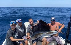 Four anglers with an Atlantic Sailfish in Panama City