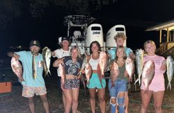 9 fish caught during a fishing trip in FL