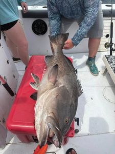 Fishing in Florida