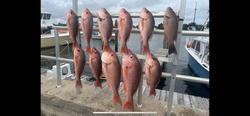 Nine fishing rods with a backdrop of the Panama City skyline