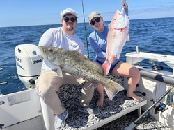 Two Gag Grouper fish, 28 inches long, caught in FL