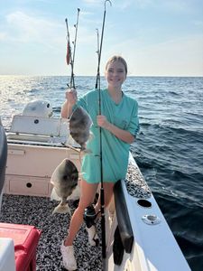 Two grey triggerfish caught while fishing in FL
