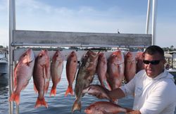 9 fish caught while fishing in FL