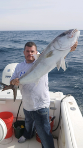 One person fishing in Panama City