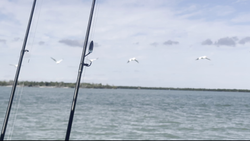 Ready for action on the calm waters of Naples!