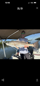 Beautiful Naples Florida redfish caught on light tackle!