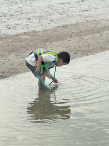 Working the shallows with a net in Naples Florida.