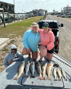 9 redfish and spotted weakfish caught in Port O'Connor