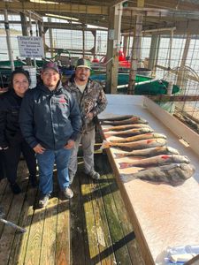 2 black drum fish caught while fishing in Port O'Connor