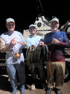 A group of 3 people fishing in Port O'Connor