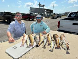 8 great barracuda caught fishing in TX
