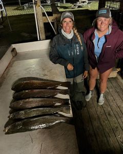 Four big fish caught while fishing in TX