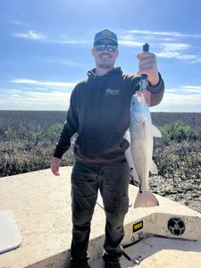Redfish measuring 22 inches caught while fishing in Port O'Connor