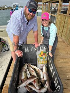 Two redfish caught while fishing in Port O'Connor