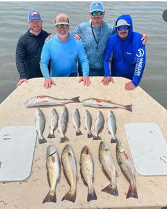 13 redfish caught fishing in TX