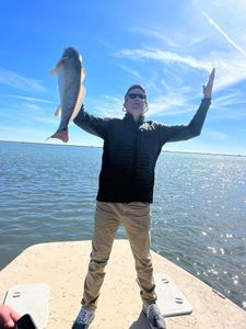 Redfish caught in Port O'Connor