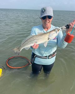 Spotted Weakfish caught while fishing in Port O'Connor