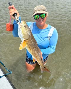 Angler's catch in TX fishing adventure