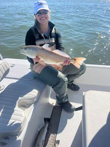 Two redfish and spotted weakfish caught in TX