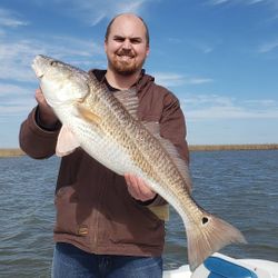Venice, LA: Redfish paradise!