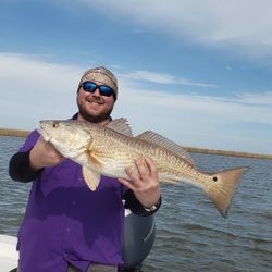 Unforgettable Redfish fishing moments In Venice LA