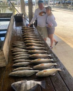 Catch the Redfish excitement in Venice!