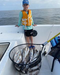 Fishing magic in Venice waters!