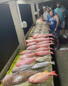 Venice, LA: Angler's delight!