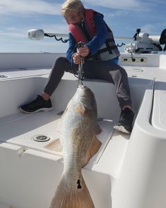 One person fishing in Buras with a large 29-inch catch