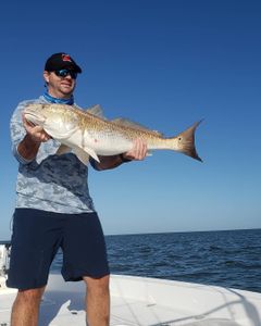 Redfish caught in Buras during a fishing trip