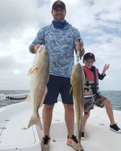 Two redfish caught in LA, fishing