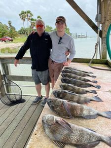 Black Drum Fishing In Corpus Christi, Texas