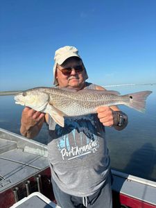 Fish-Species