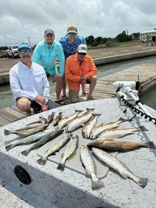 Great catch! Redfish and speckled trout haul.