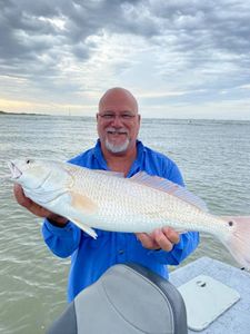 Massive Redfish from Texas