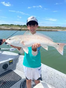 Oversized Redfish From Corpus Christi Bayou