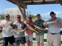 Redfish, Aransas Pass 2021