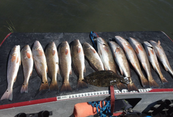 Top Redfish Fishing in Aransas Pass, TX