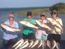 9 fishing in Ingleside